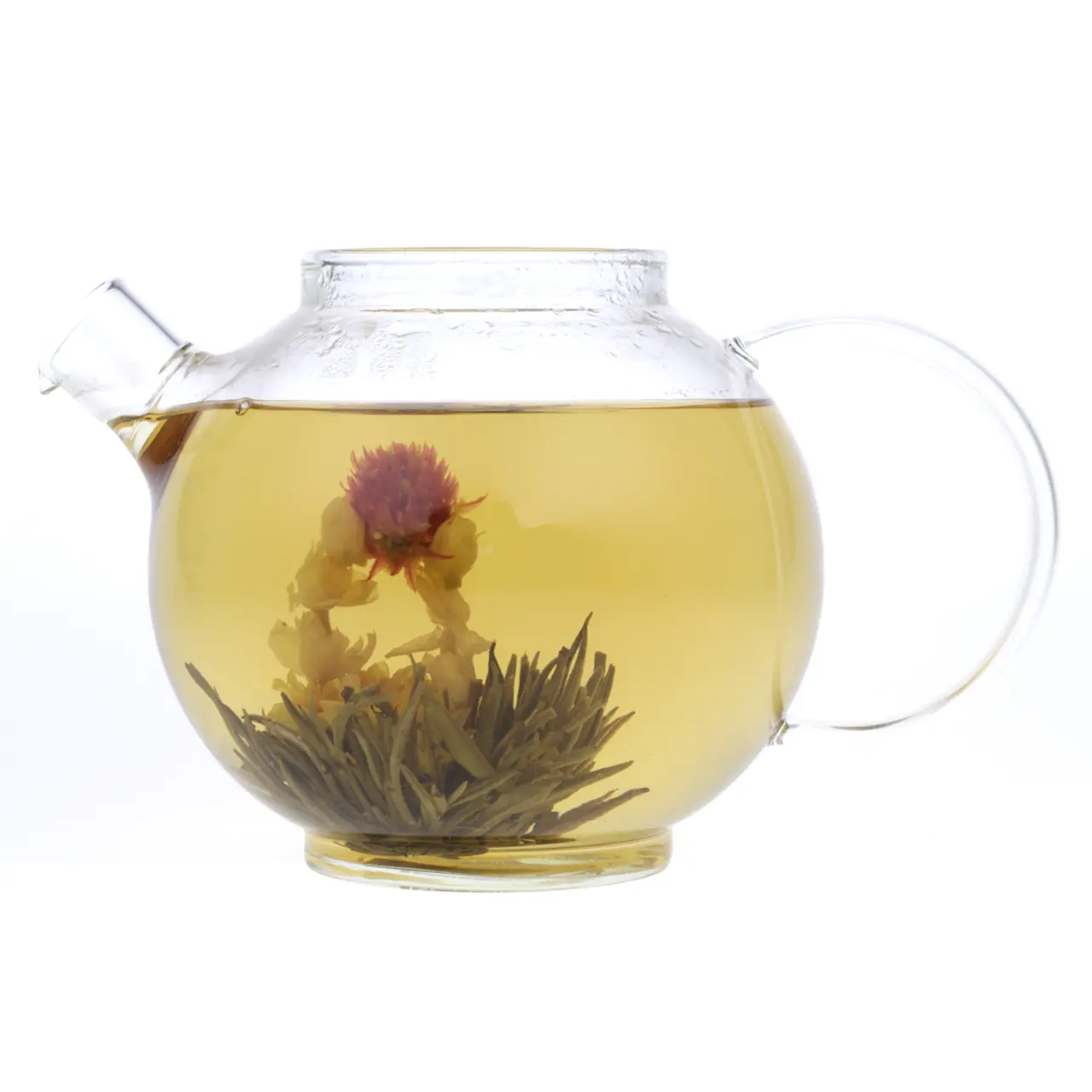 803-hello-happiness-bloeiende-thee-theebloem