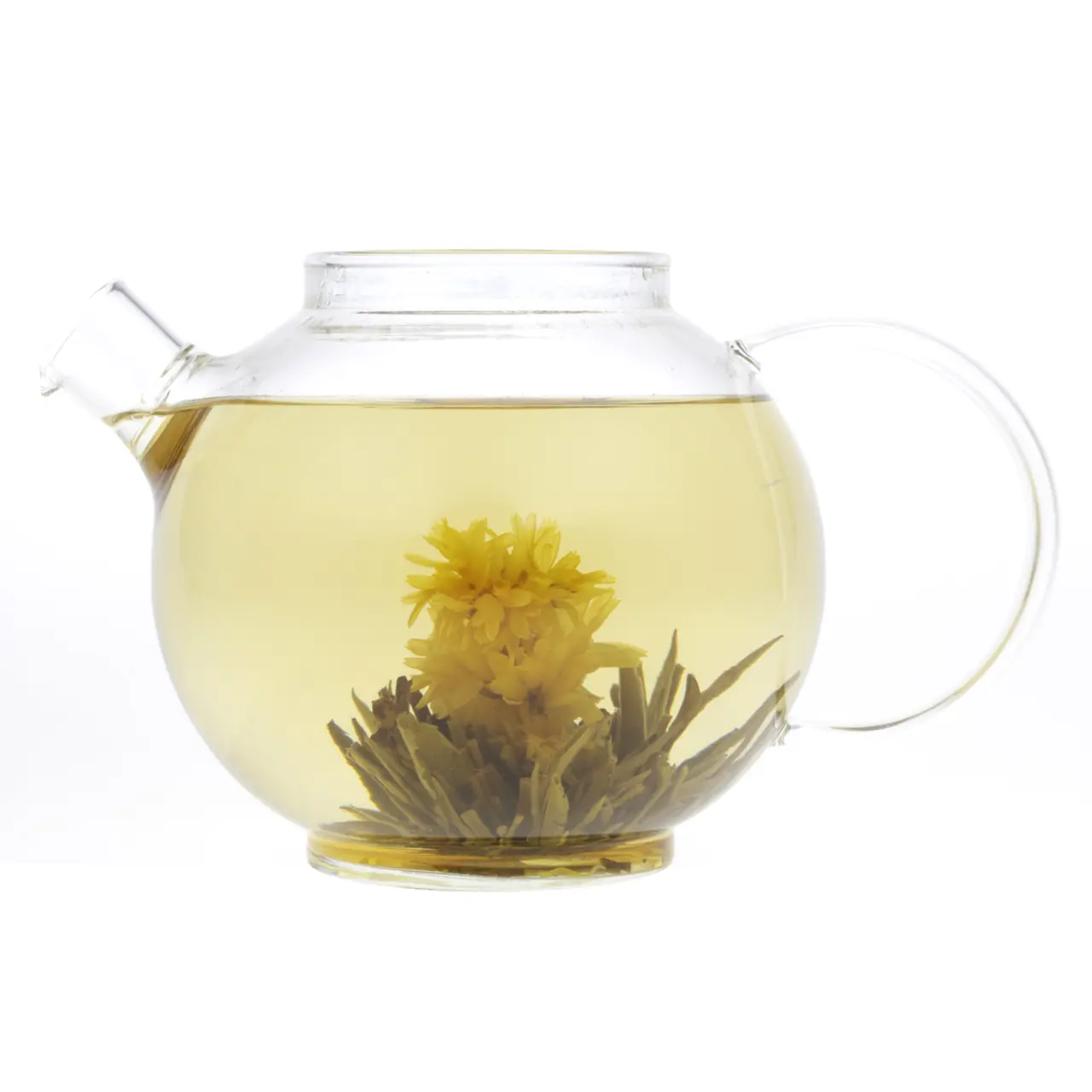 815-golden-glory-bloeiende-thee-theebloem